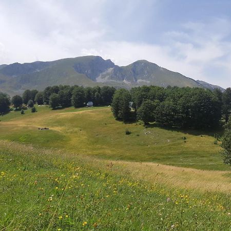 Durmitorski Konak Žabljak Exteriér fotografie