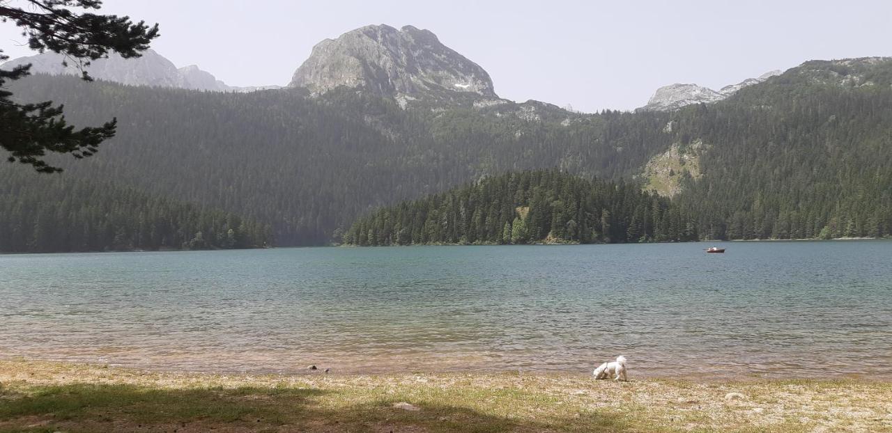 Durmitorski Konak Žabljak Exteriér fotografie