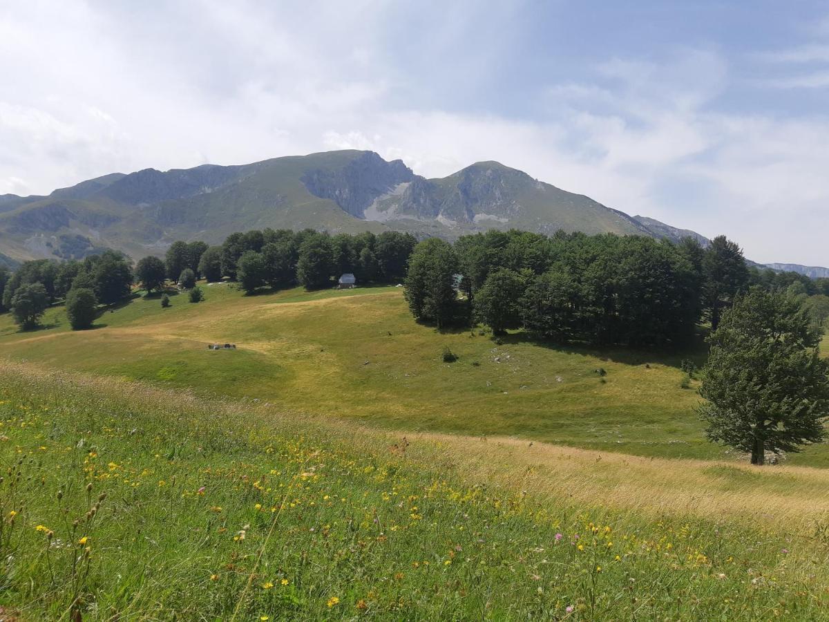 Durmitorski Konak Žabljak Exteriér fotografie