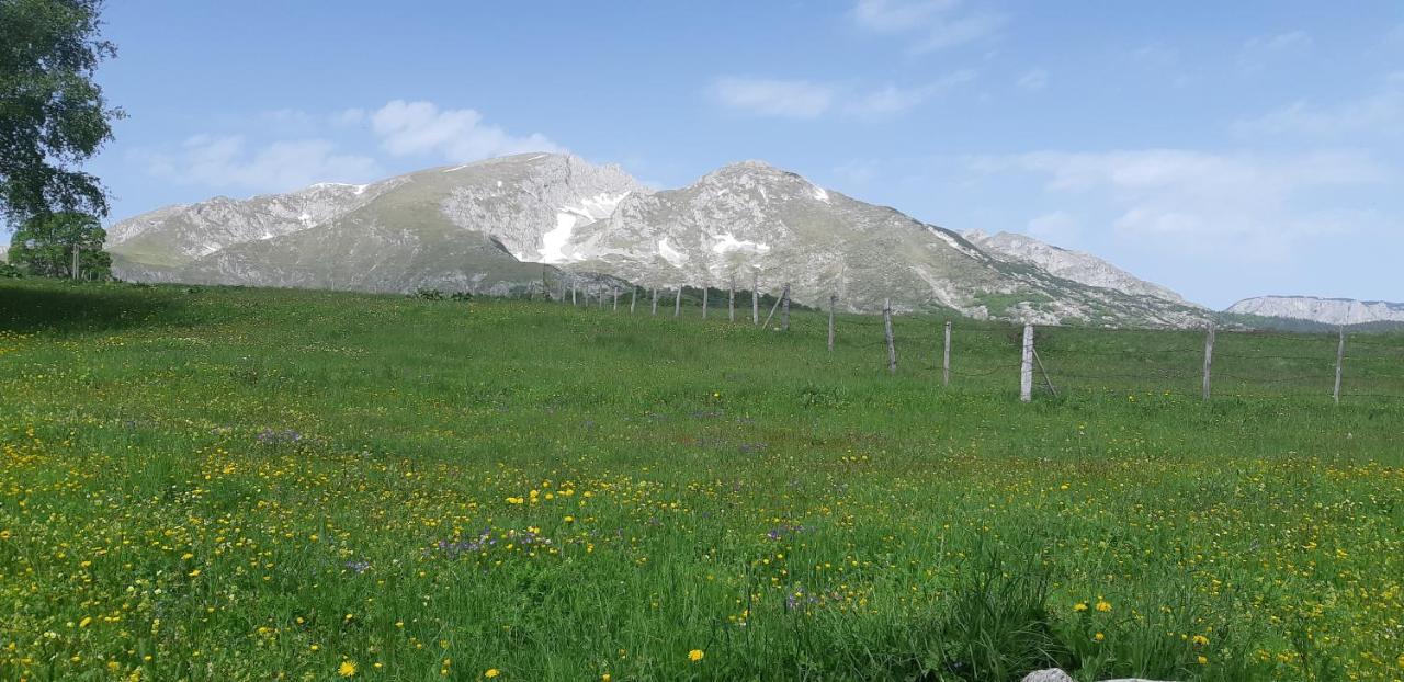 Durmitorski Konak Žabljak Exteriér fotografie